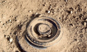 Landmines kill eight in Borno community